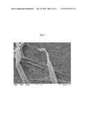 SURFACE-MINERALIZED ORGANIC FIBERS diagram and image