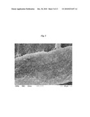 SURFACE-MINERALIZED ORGANIC FIBERS diagram and image