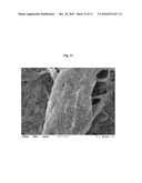 SURFACE-MINERALIZED ORGANIC FIBERS diagram and image