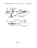 Ex Vivo Remodeling of Excised Blood Vessels for Vascular Grafts diagram and image