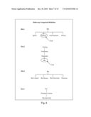 DATABASE ACCESS SYSTEM diagram and image