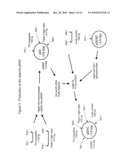 TRANSGENIC PROTEINS FROM MULTI-GENE SYSTEMS, METHODS, COMPOSITIONS, USES AND THE LIKE RELATING THERETO diagram and image
