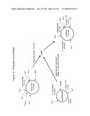 TRANSGENIC PROTEINS FROM MULTI-GENE SYSTEMS, METHODS, COMPOSITIONS, USES AND THE LIKE RELATING THERETO diagram and image