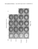 Cottonwood Growth eIF-5A diagram and image