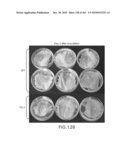 Cottonwood Growth eIF-5A diagram and image