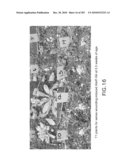 Cottonwood Growth eIF-5A diagram and image