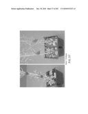 Cottonwood Growth eIF-5A diagram and image