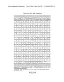 Cottonwood Growth eIF-5A diagram and image