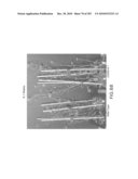 Cottonwood Growth eIF-5A diagram and image