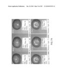 Cottonwood Growth eIF-5A diagram and image