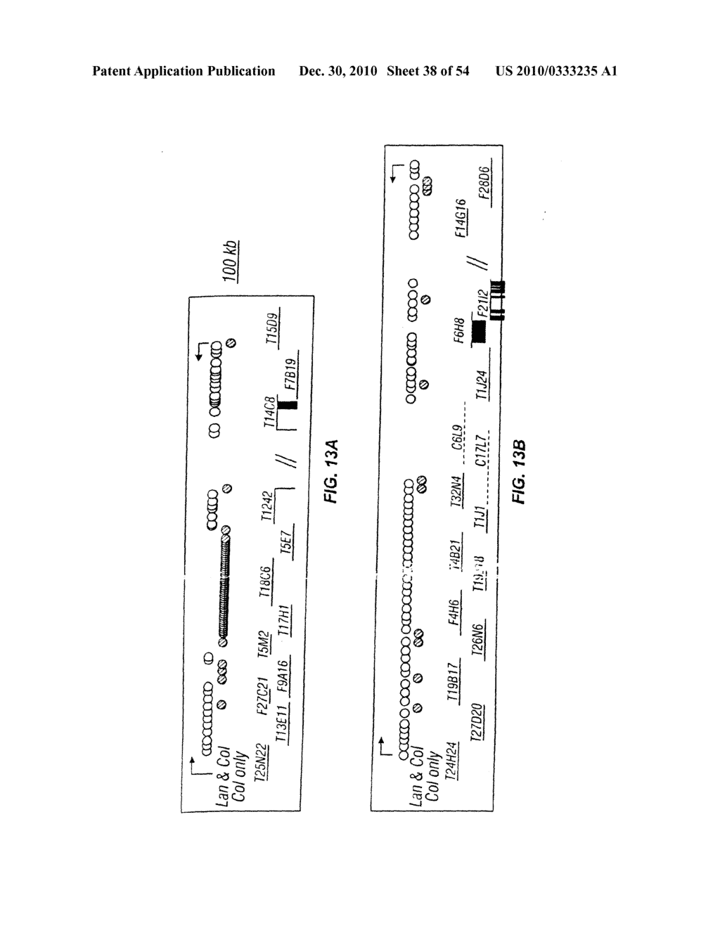 Plant Centromere Compositions - diagram, schematic, and image 39