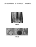 SINGLE LAYER FUEL TANK diagram and image