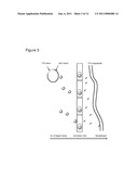 ADMINISTRATION OF INTERFERON FOR PROPHYLAXIS AGAINST OR TREATMENT OF PATHOGENIC INFECTION diagram and image