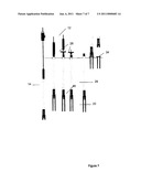 DEPLOYMENT OF A WIRELINE TOOL diagram and image