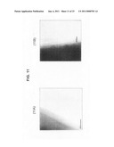 CARBON NANOTUBE SUPPORTING BODY AND PROCESS FOR PRODUCING THE CARBON NANOTUBE SUPPORTING BODY diagram and image