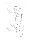 CARBON NANOTUBE SUPPORTING BODY AND PROCESS FOR PRODUCING THE CARBON NANOTUBE SUPPORTING BODY diagram and image