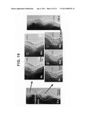 CARBON NANOTUBE SUPPORTING BODY AND PROCESS FOR PRODUCING THE CARBON NANOTUBE SUPPORTING BODY diagram and image