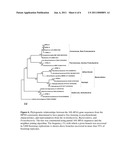 High Performance Nitrifying Sludge For High Ammonium Concentration and Low Temperature Wastewater Treatment diagram and image