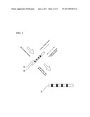 THREE DIMENSIONAL SHAPE MEASUREMENT APPARATUS diagram and image