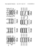 HIGH-CAPACITY AUTOMATIC LOADER DEVICE diagram and image