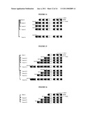 Cultures with Improved Phage Resistance diagram and image