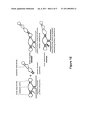 MODULAR APTAMAR-REGULATED RIBOZYMES diagram and image