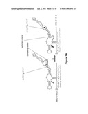 MODULAR APTAMAR-REGULATED RIBOZYMES diagram and image