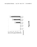 MODULAR APTAMAR-REGULATED RIBOZYMES diagram and image