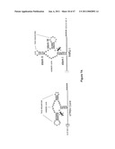 MODULAR APTAMAR-REGULATED RIBOZYMES diagram and image