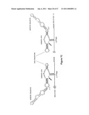 MODULAR APTAMAR-REGULATED RIBOZYMES diagram and image