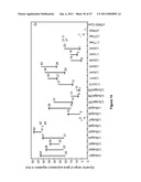 MODULAR APTAMAR-REGULATED RIBOZYMES diagram and image