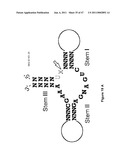 MODULAR APTAMAR-REGULATED RIBOZYMES diagram and image