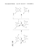 MODULAR APTAMAR-REGULATED RIBOZYMES diagram and image