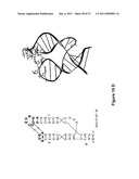 MODULAR APTAMAR-REGULATED RIBOZYMES diagram and image