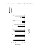 MODULAR APTAMAR-REGULATED RIBOZYMES diagram and image