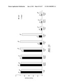 MODULAR APTAMAR-REGULATED RIBOZYMES diagram and image