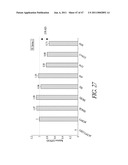 MODULAR APTAMAR-REGULATED RIBOZYMES diagram and image