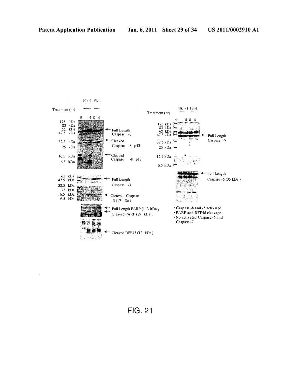 THERAPEUTIC AGENTS COMPRISING PRO-APOPTOTIC PROTEINS - diagram, schematic, and image 30