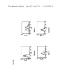 CELL GROWTH INHIBITORS CONTAINING ANTI-GLYPICAN 3 ANTIBODY diagram and image