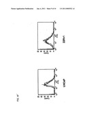 CELL GROWTH INHIBITORS CONTAINING ANTI-GLYPICAN 3 ANTIBODY diagram and image