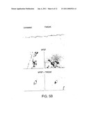 TWEAK RECEPTOR AGONISTS AS ANTI-ANGIOGENIC AGENTS diagram and image