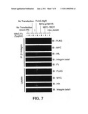 Compositions and Methods to Promote Neural Cell Growth diagram and image