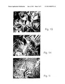 RANDOM AND NON-RANDOM ALKYLENE OXIDE POLYMER ALLOY COMPOSITIONS diagram and image