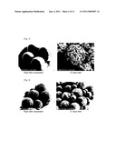 MICROPARTICLE AND PHARMACEUTICAL COMPOSITION THEREOF diagram and image