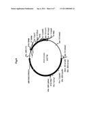 SOY PROTEIN PRODUCTS HAVING ALTERED CHARACTERISTICS diagram and image