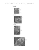 POSITIVE ELECTRODE ACTIVE ELEMENT AND LITHIUM SECONDARY BATTERY USING THE SAME diagram and image