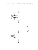 Oligonucleotides and Uses Thereof diagram and image