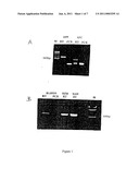 Method of profiling gene expression in a subject undergoing a treatment diagram and image