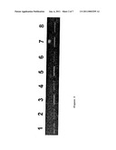 Method of profiling gene expression in a subject undergoing a treatment diagram and image