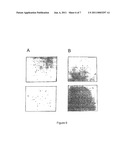 METHOD FOR THE DETECTION OF GENE TRANSCRIPTS IN BLOOD AND USES THEREOF diagram and image